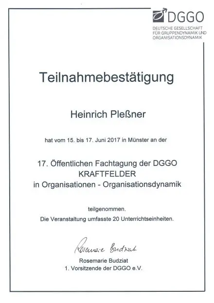 Zertifikat - KRAFTFELDER in Organisationen - Organisationsdnamik - DGGO